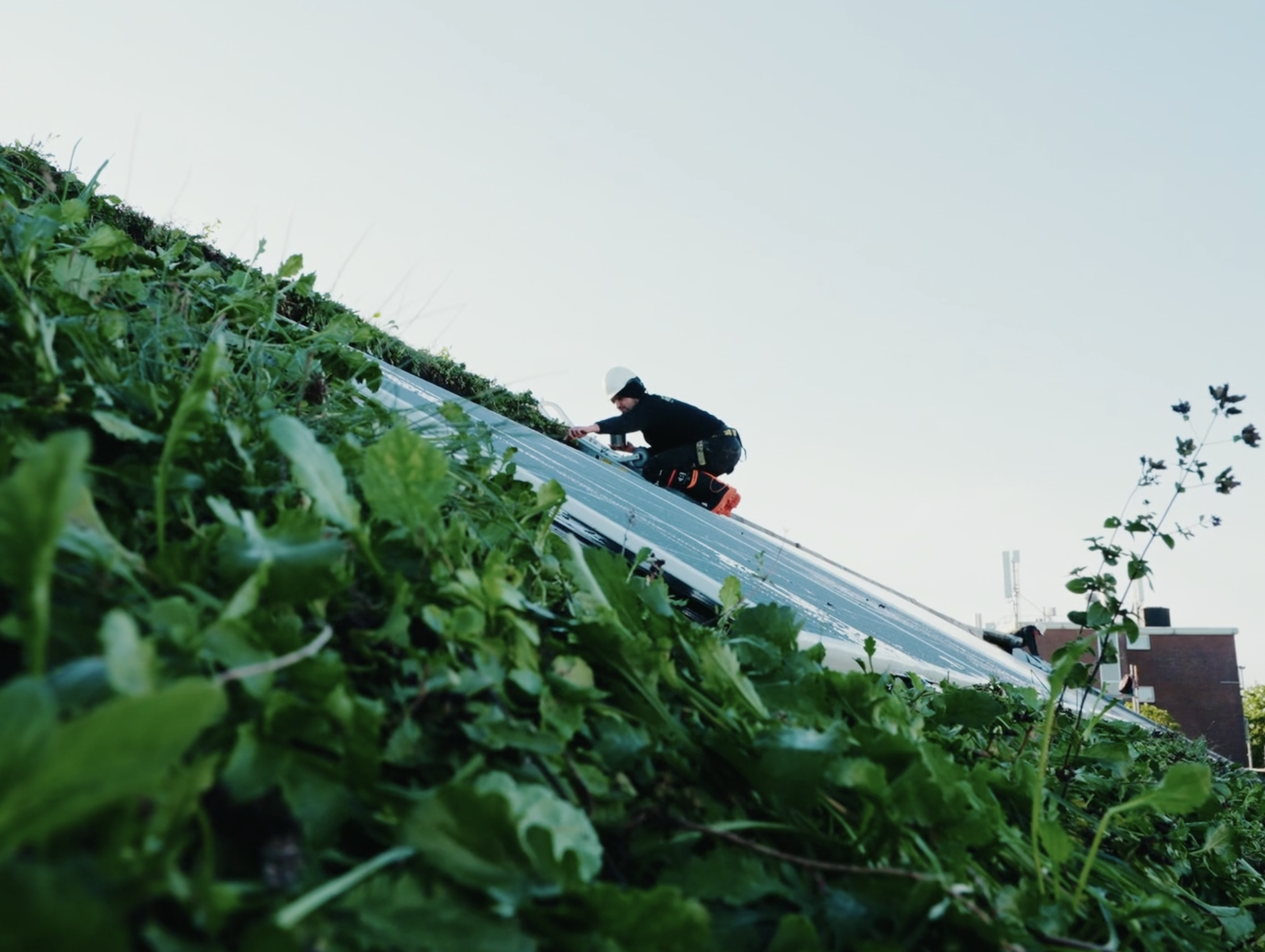 RE-DO-renovatieconcept met het dak vol toekomst