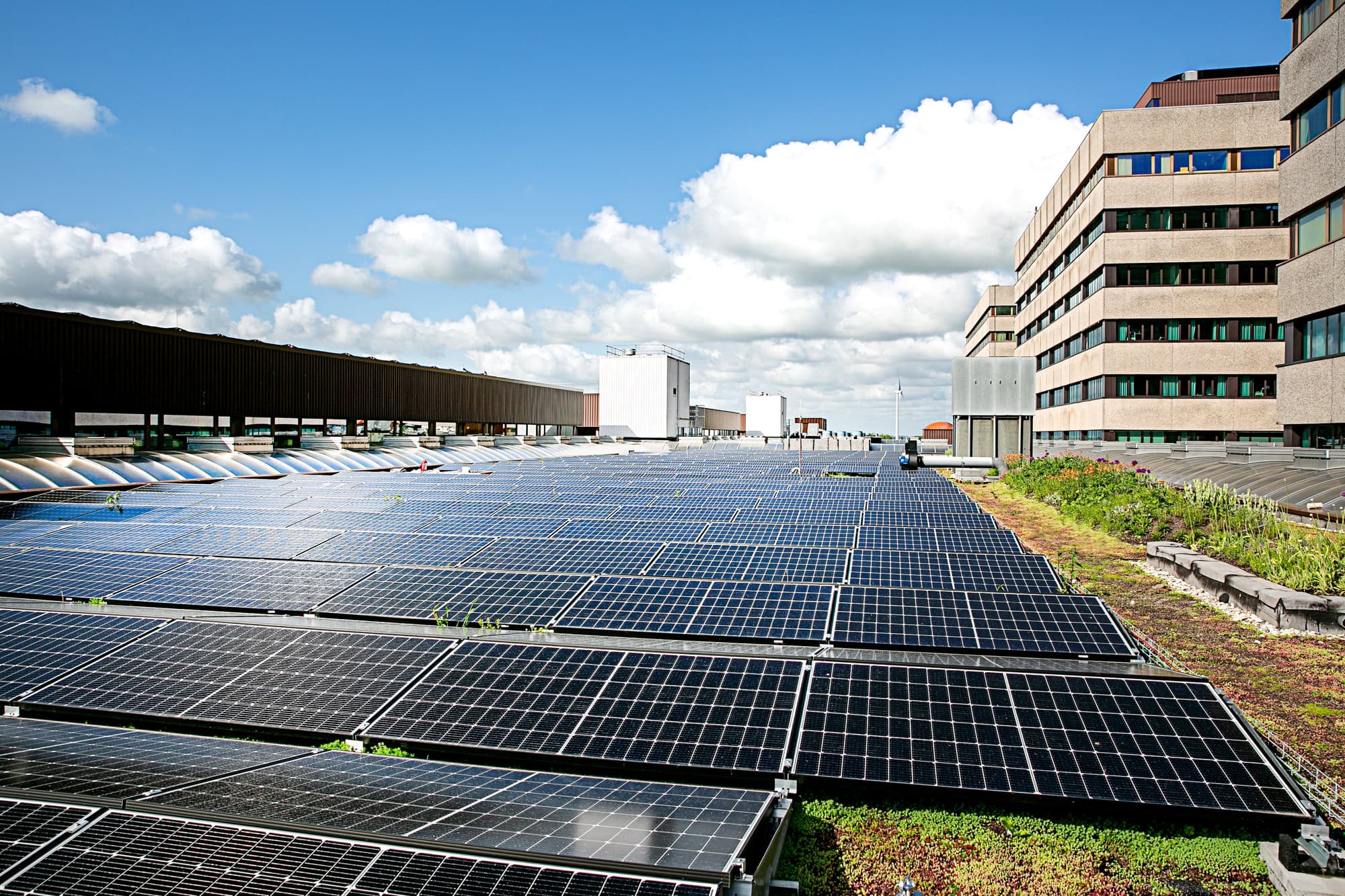 Een doorbraak in PV-panelen: 100% circulair, PFAS-vrij en in Nederland geproduceerd