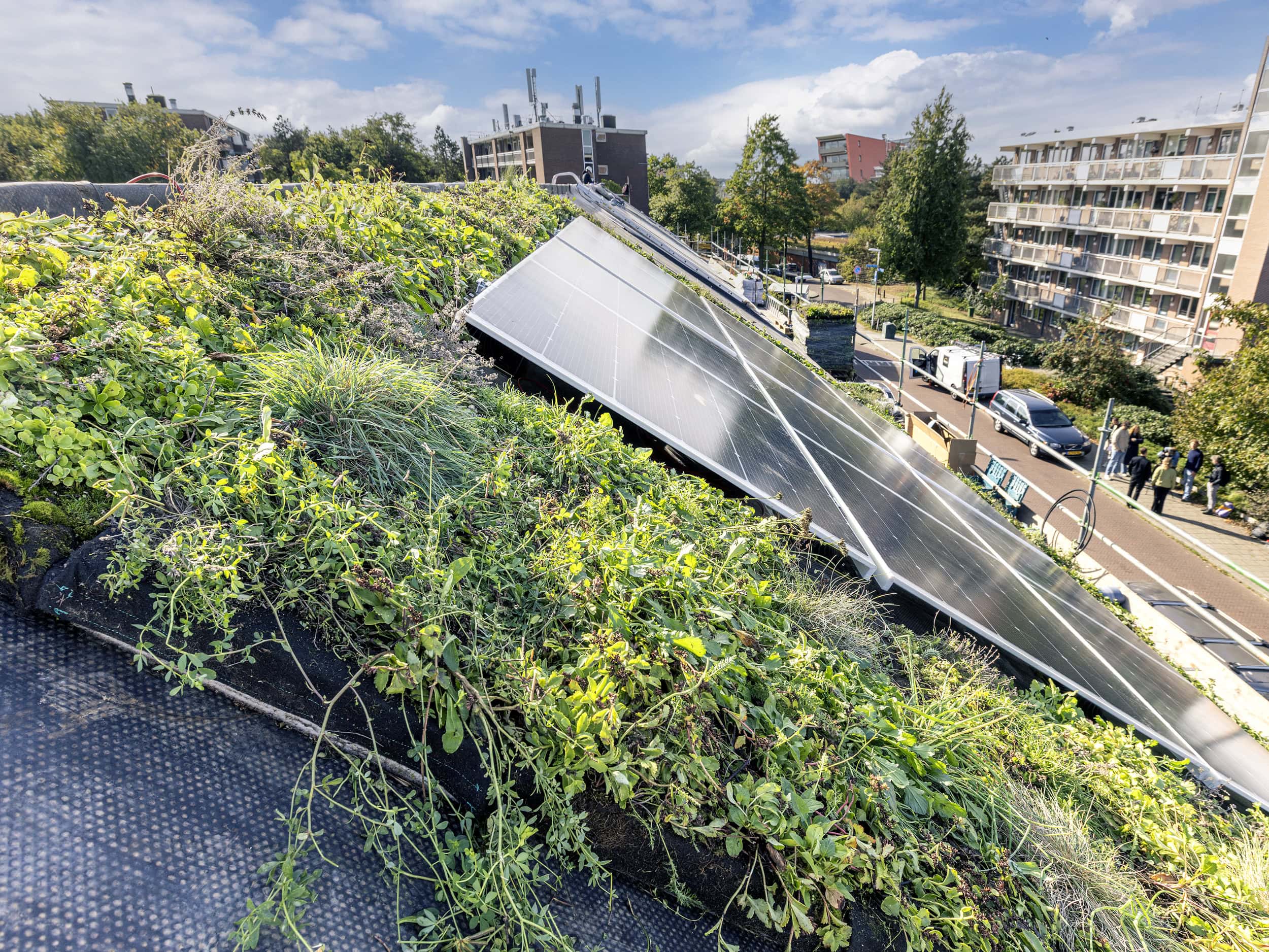 Circulaire renovatie Bussum